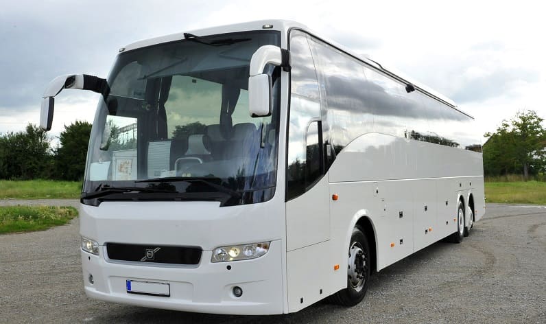 France: Buses agency in Occitanie in Occitanie and Nîmes
