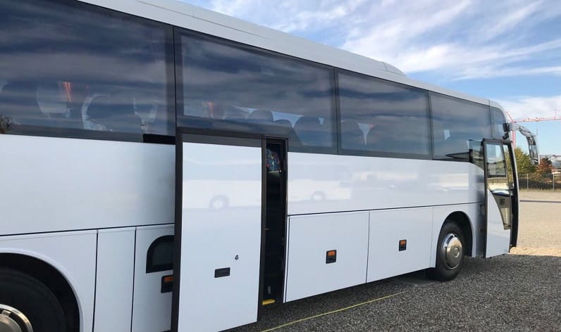 Auvergne-Rhône-Alpes: Buses reservation in Montélimar in Montélimar and France